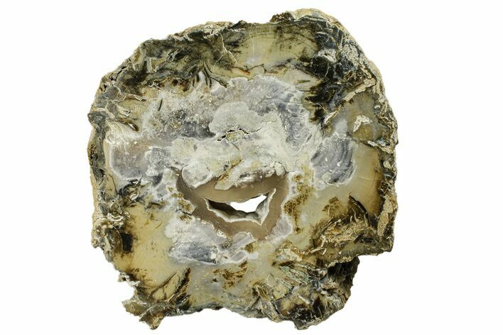 Jasper/Agate Replaced Petrified Wood Round - Indonesia #271443